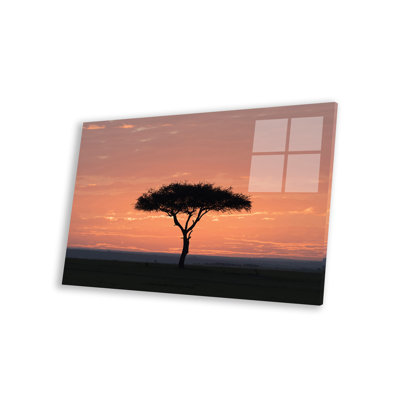 Africa, Kenya, Amboseli National Park. Sunrise Backlights Umbrella Thorn Acacia Tree by Jaynes Gallery - Unframed Print -  Latitude RunÂ®, 712C83D183B64E05855CAA0B37E7C5AC