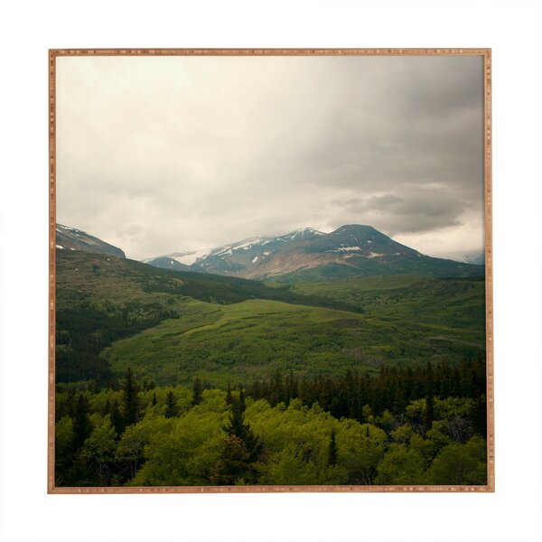 Loon Peak® Wild Montana Framed Photographic Print & Reviews | Wayfair