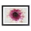Heart of a Pink Gerbera in Abstract - Picture Frame Graphic Art Print-55763040-55763041