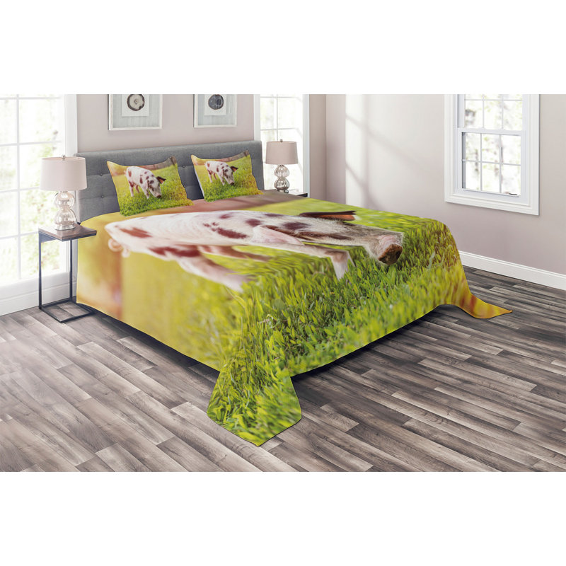 Modern & Contemporary Polyester Coverlet, King Bedspread + 2 Shams