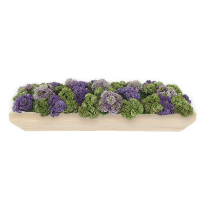 Sedum Arrangement in a Rectangular Wood Planter