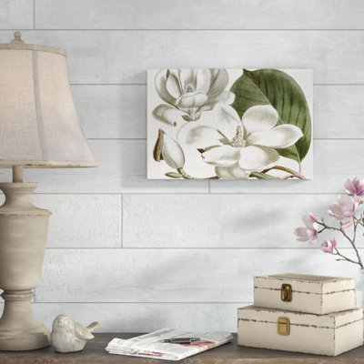 «Curtis Magnolia I», peinture sur toile