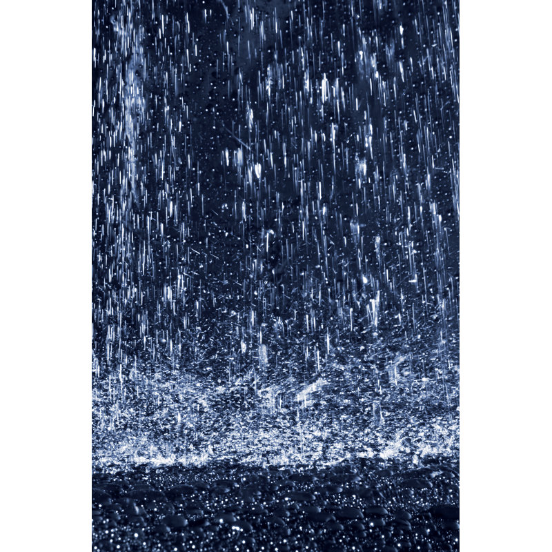 Raining by Saiva - Wrapped Canvas Print, 46cm H x 30cm W