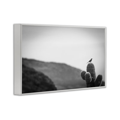 Oiseau de garde et giclée de cactus par Wild Apple