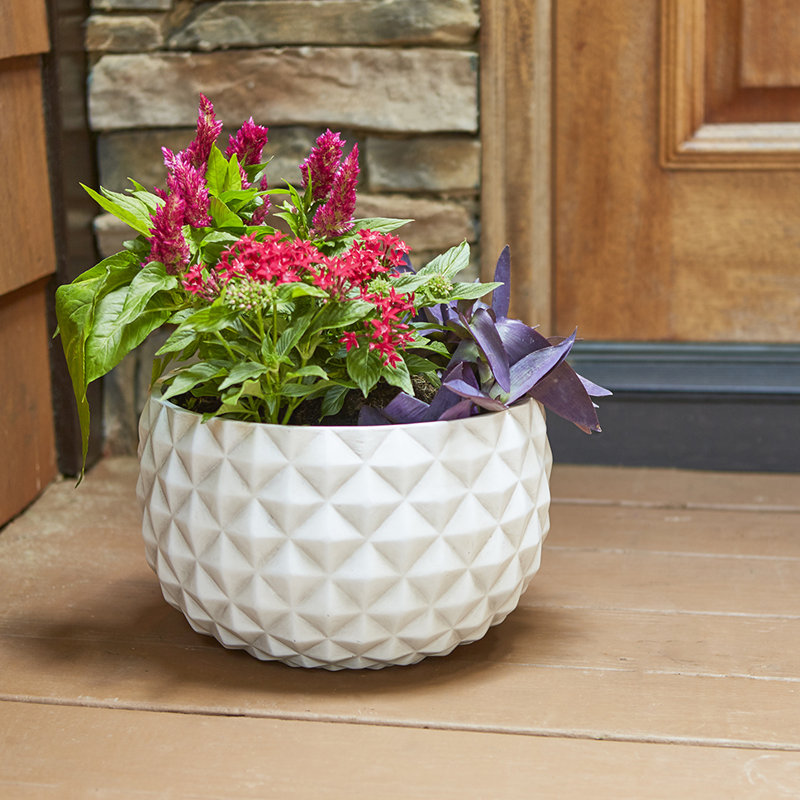 Pot à fleurs 12 po, H 7,5 po x l 12 po x P 12 po