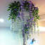 Faux Wisteria Swag-339493247