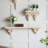 Etchemin Magnesium Accent Shelf