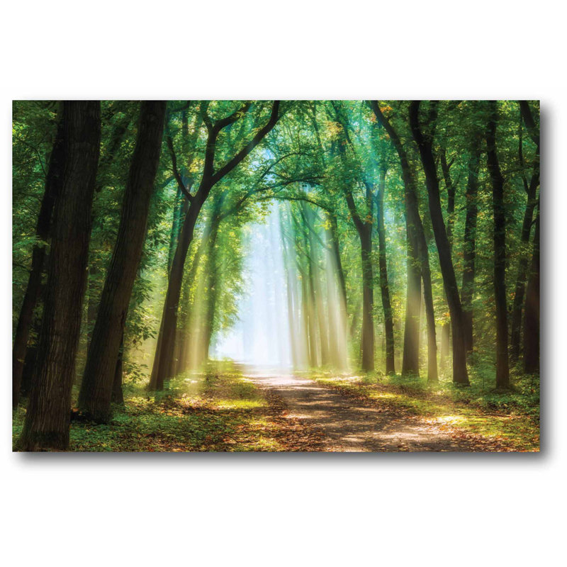 Emerald Green Forest Landscape Canvas Art 24x36