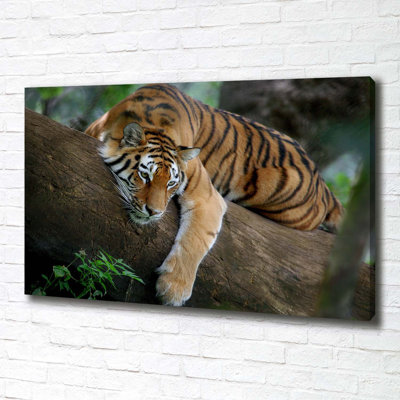 Tiger on the tree 1 Piece Wall Art on Canvas