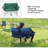 Folding Camping Chair-494654769