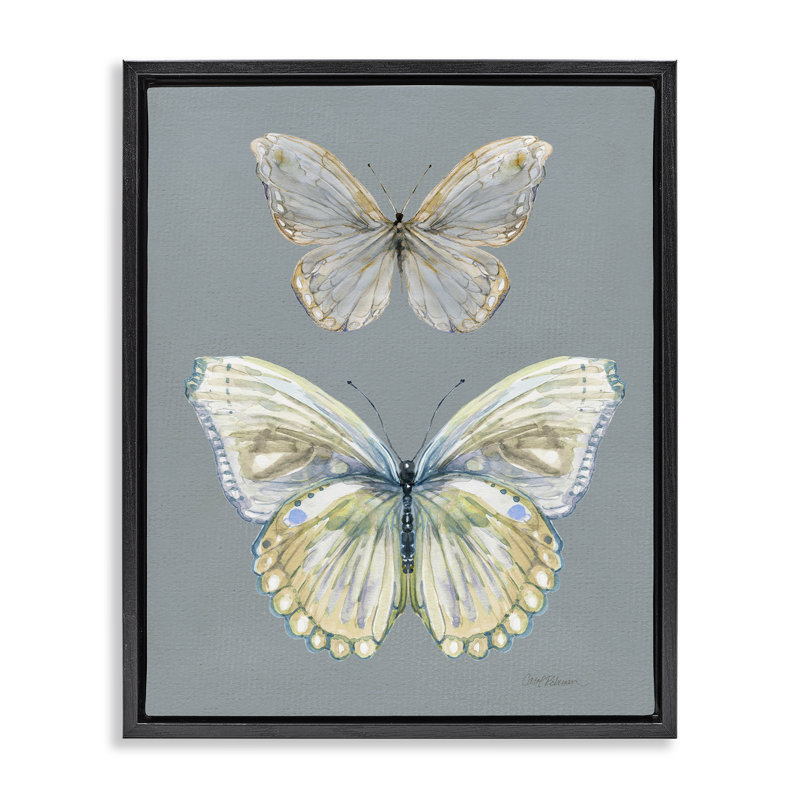 Cadre flottant Papillon, étude par Carol Robinson, Cadre flottant noir de jais, H 21 po x l 17 po