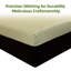 12-Inch Queen Mattress