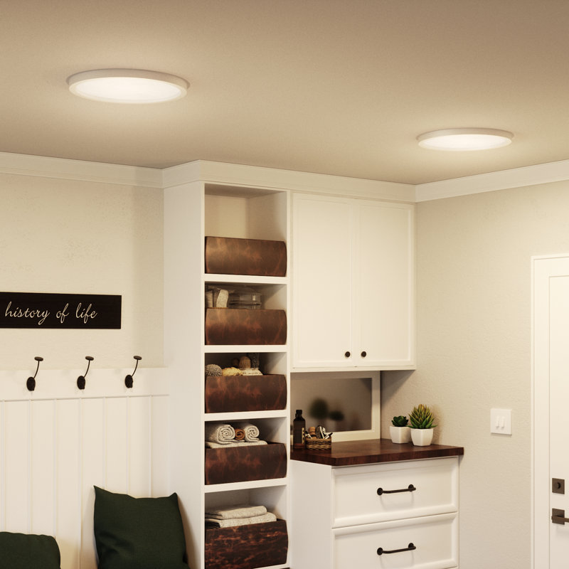 Naquin Acrylic LED Flush Mount, 1" H x 15" W x 15" D, White Lustre