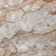 Rattee Washable Abstract Indoor / Outdoor Rug