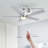 Eggett 52'' Ceiling Fan with LED Lights