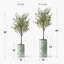 Arbre artificiel dans un pot de fleurs moderne, décoration d'arbre en soie d'olivier artificiel (pot et arbre)-407143821-424482373
