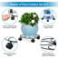 Support pour plante Edsel