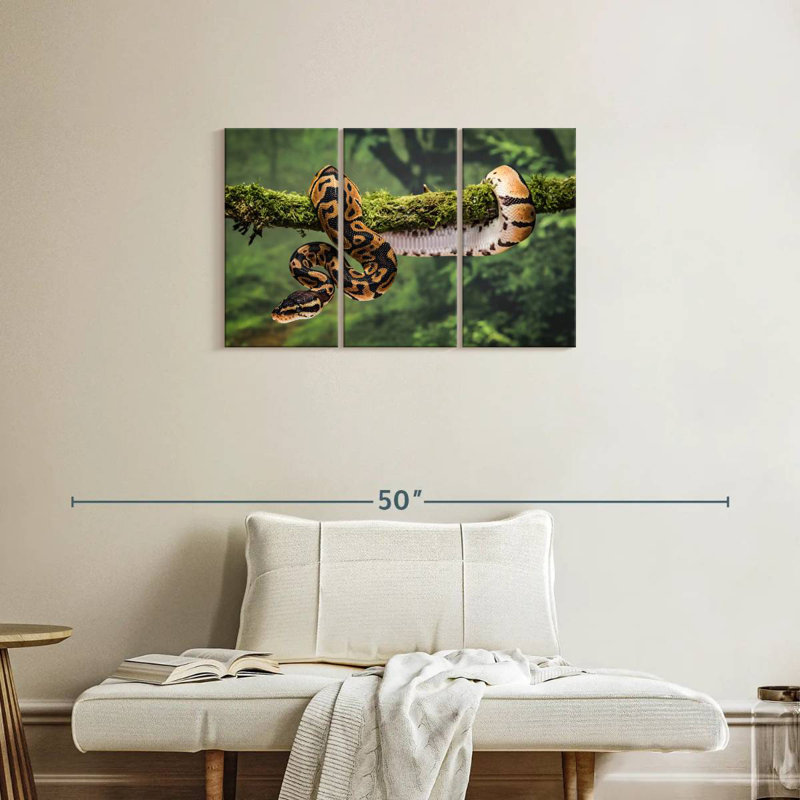 Brampt Python On Branch, 20" H x 33" W