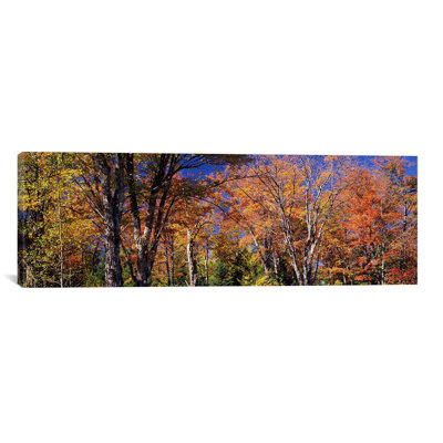 " Trees In Autumn, Vermont, USA " by Panoramic Images