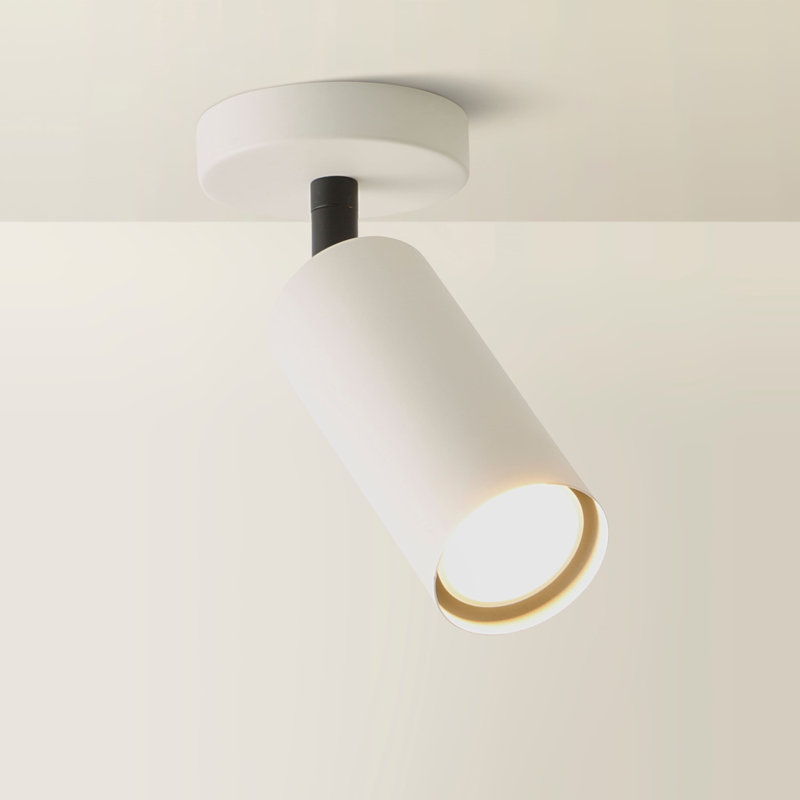 Taylor Matte  Tube Way Adjustable Ceiling Spotlight and Bulbs, 1, Beige