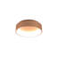 Candye LED Flush Mount-1699118175-1698761631