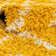 Foundry Select Ruth Trellis Shag Rug Yellow