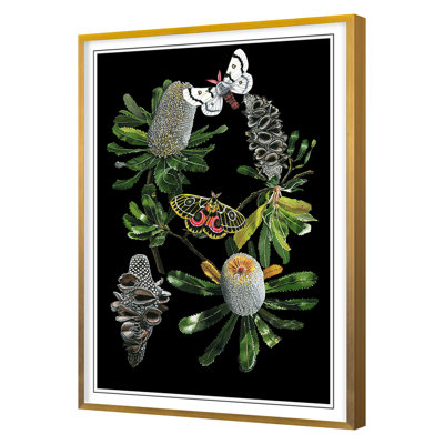 Botany Banksia Chart Framed Print