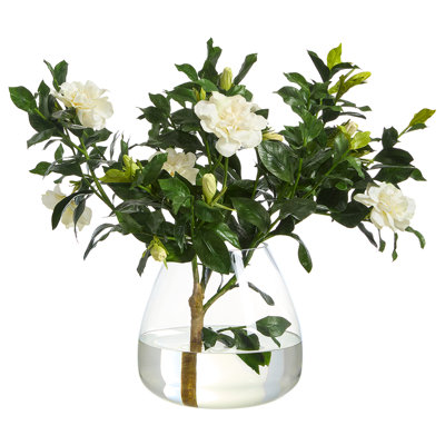 Gardenia Branch In Round Glass Vase Cream