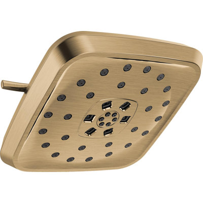 Rain Adjustable Shower Head with H2Okinetic Technology