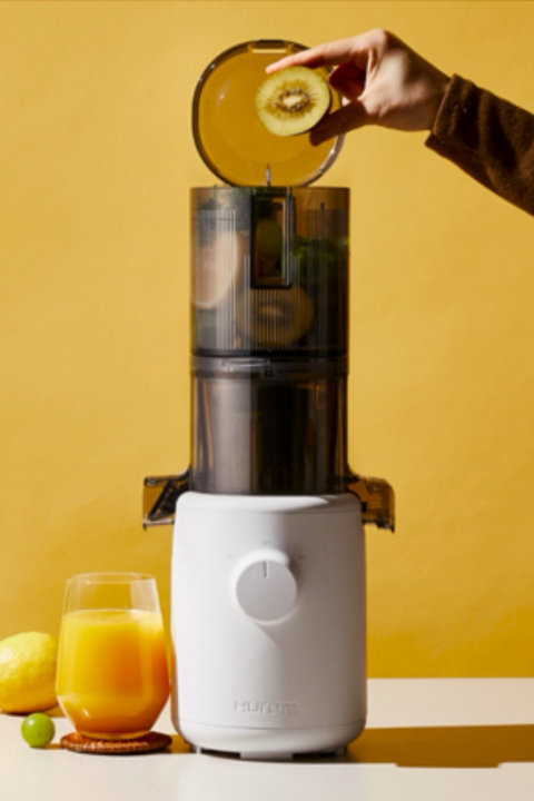 H310 Easy Clean Personal Slow Juicer