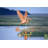 36'' H Metal Weathervane