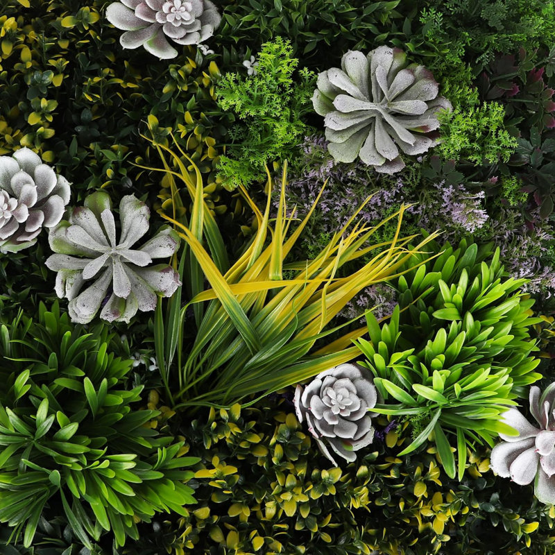 Panneaux de plantes grasses Costal Haven Mix (12 panneaux)