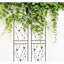 Paquet de 4, treillis de jardin en métal antirouille 71 po x 19,7 po, noir, support à fleurs pour l'extérieur, facile à assembler 71 po x 19,7 po, paquet, antirouille, plante pour aide, assemblage