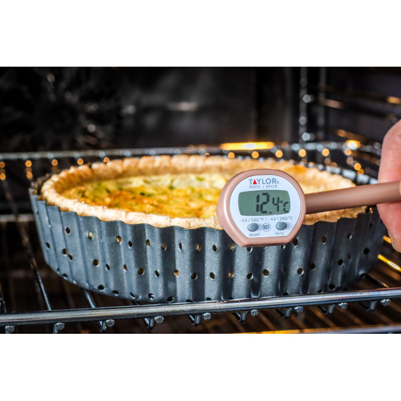 Taylor Pro Digital Scale