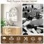 Wall Mounted Arched Cabinet With Glass Doors-1049862881