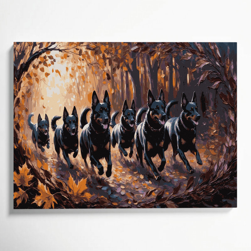 Chiens, art mural sur toile noire Schipperke, H 20 po x l 24 po