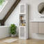 Freestanding Bathroom Cabinet