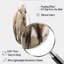Art mural Yaks-2126334146