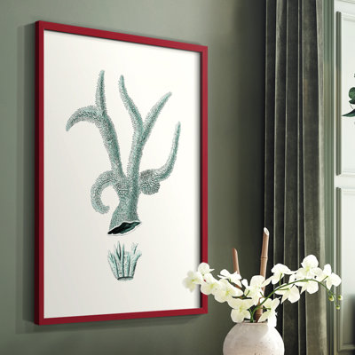 Reproduction encadrée de corail antique antique - bois massif