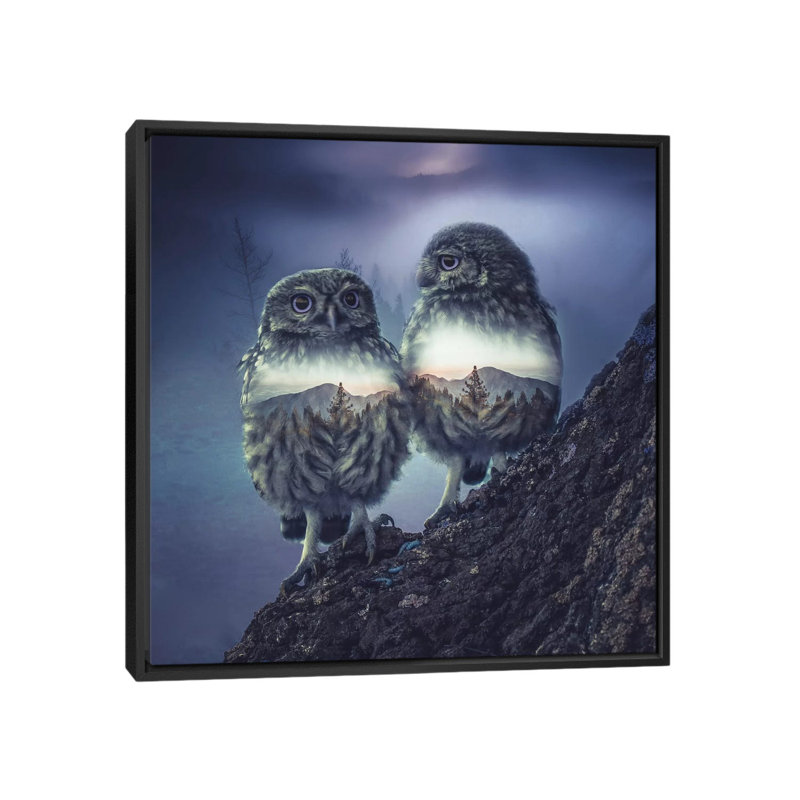 Owl Twins by Paul Haag - Print on Canvas, Black Framed, 66.04 cm H x 66.04 cm W