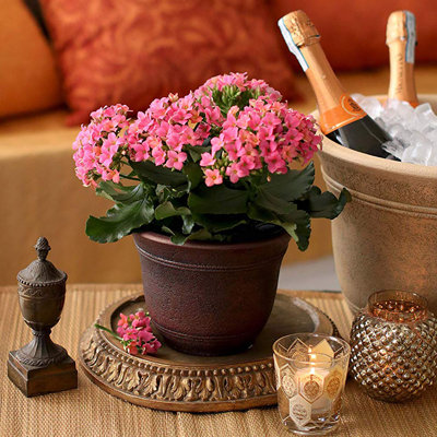 Pot à fleurs en résine 