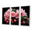 Cascade rose fuchsia - art mural fuchsia-172137909-172137905