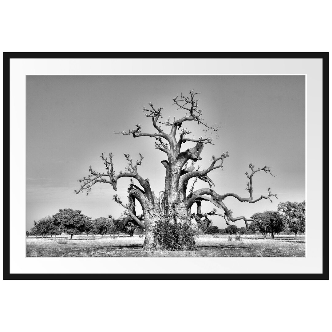 Gerahmtes Poster Vertrockneter Baum in der Savanne