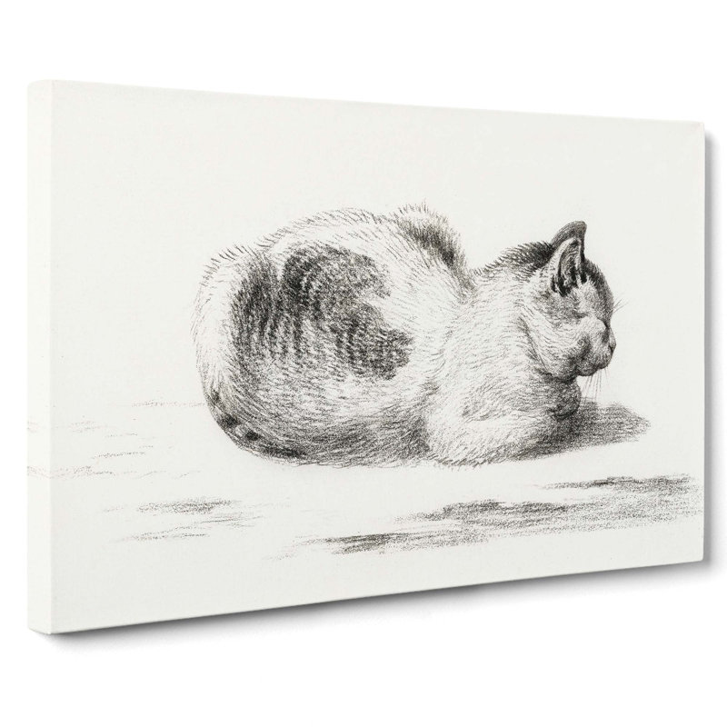 The Cat by Jean Bernard - Wrapped Canvas, 35cm H x 50cm W x 3cm D