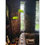  Lampe sur pied Green Glass Bankers