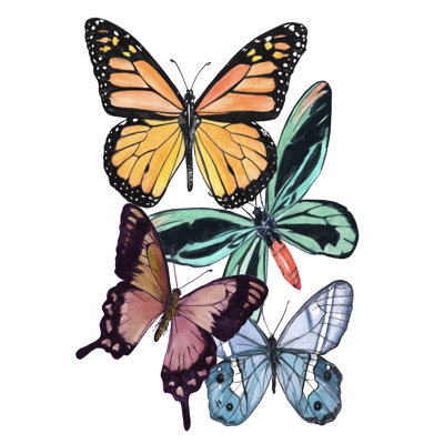 Échantillons de papillons I