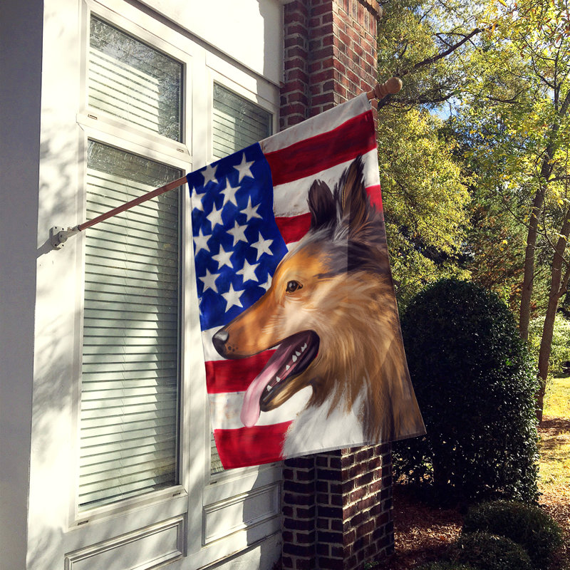 Polyester à 2 côtés 28 x 40 po drapeau maison, Collie à poil court