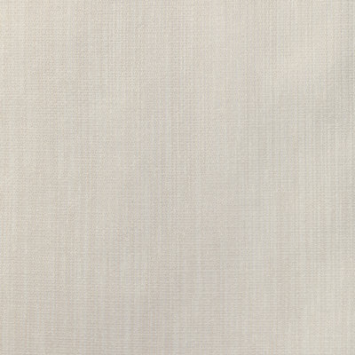 Kravet Basics - 4502-116