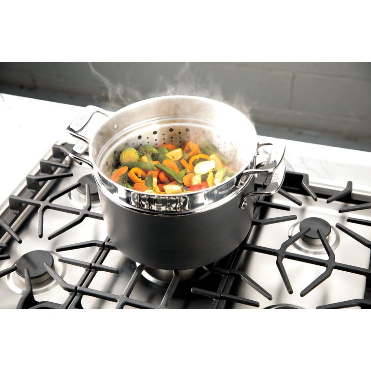 Essentials Non-Stick Hard Anodized Cookware Multi-Pot, All-Clad