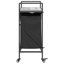 Laundry Cart